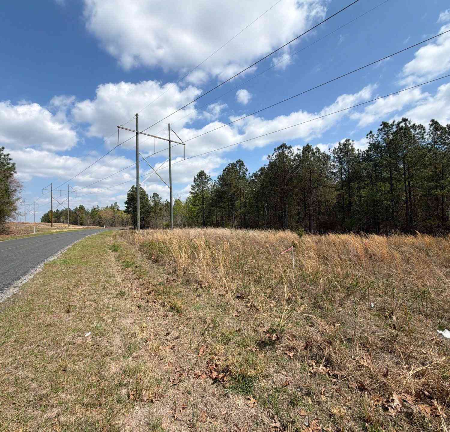 Vacant Land For Sale - CA 2 Mt. Calvary Road #CA 2<br/> Ridge Spring, SC 29129