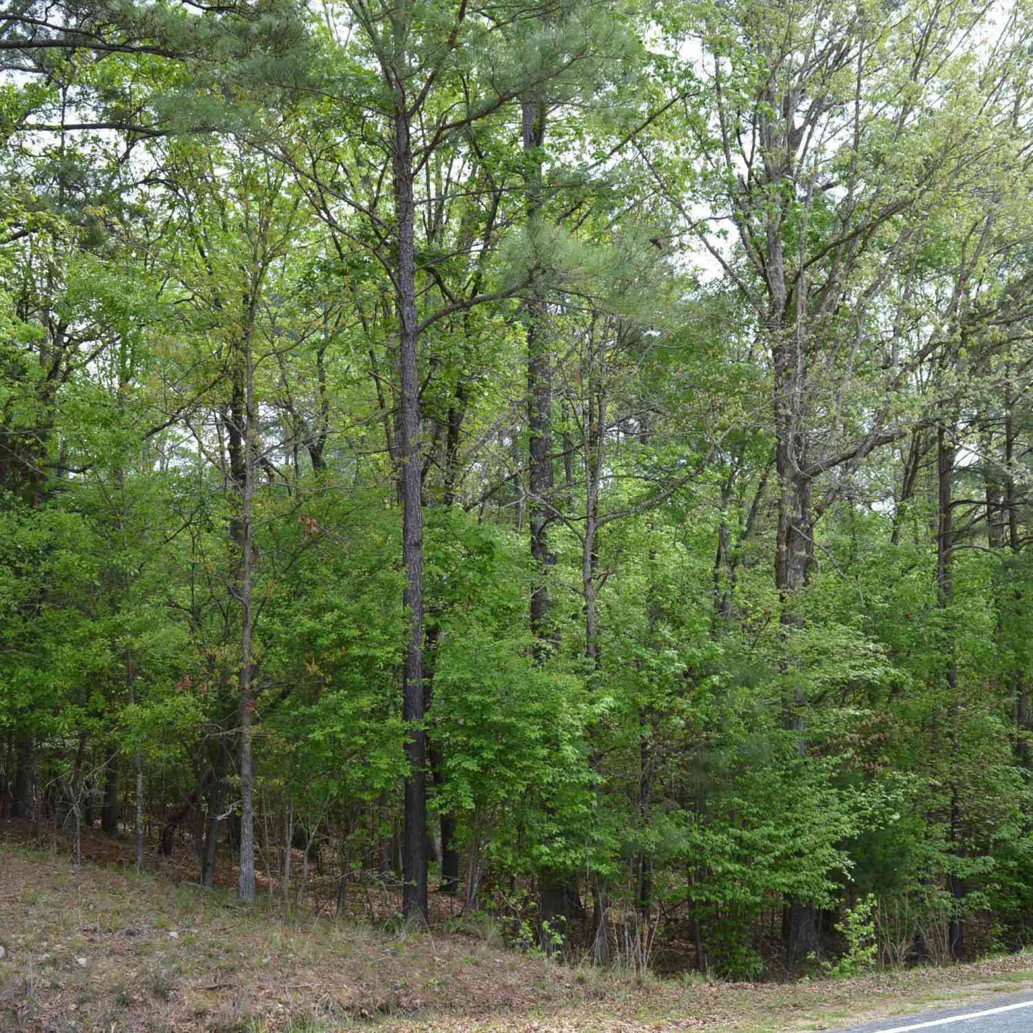 Homes For Sale - 978 Rolling Hills Road<br/> Fairfield County, Ridgeway, SC 29130