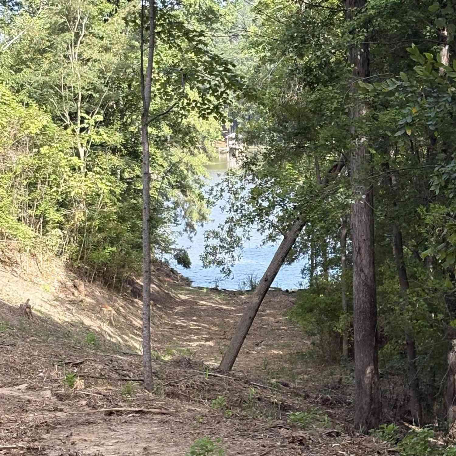 Vacant Land For Sale - 80 Valley 1 Drive<br/> Winnsboro, SC 29180
