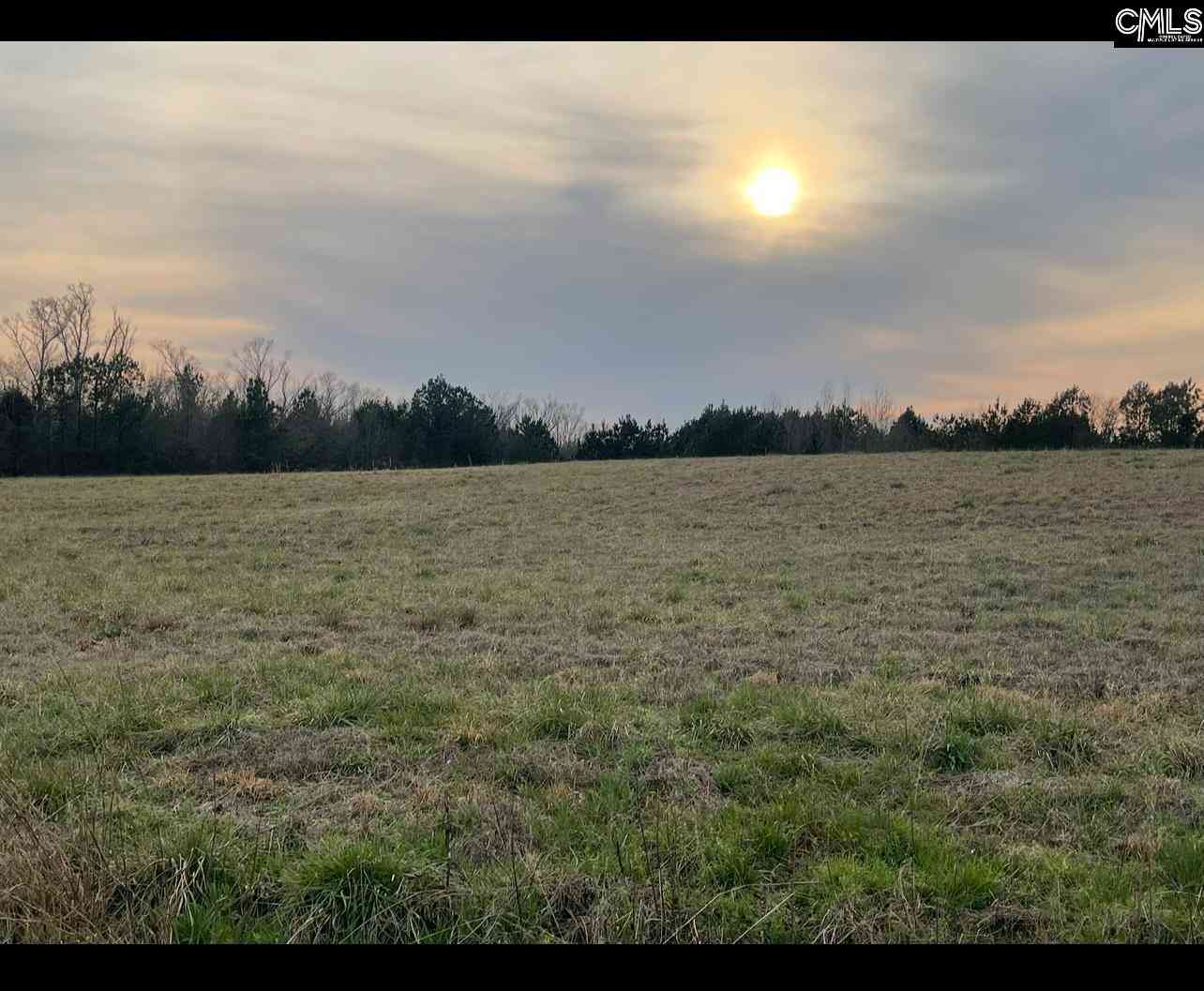 Vacant Land For Sale - Lewie Road<br/> Gilbert, SC 29054