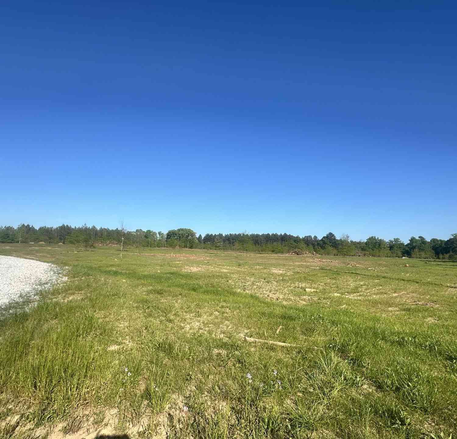 Vacant Land For Sale - Livingston Road<br/> Pomaria, SC 29126