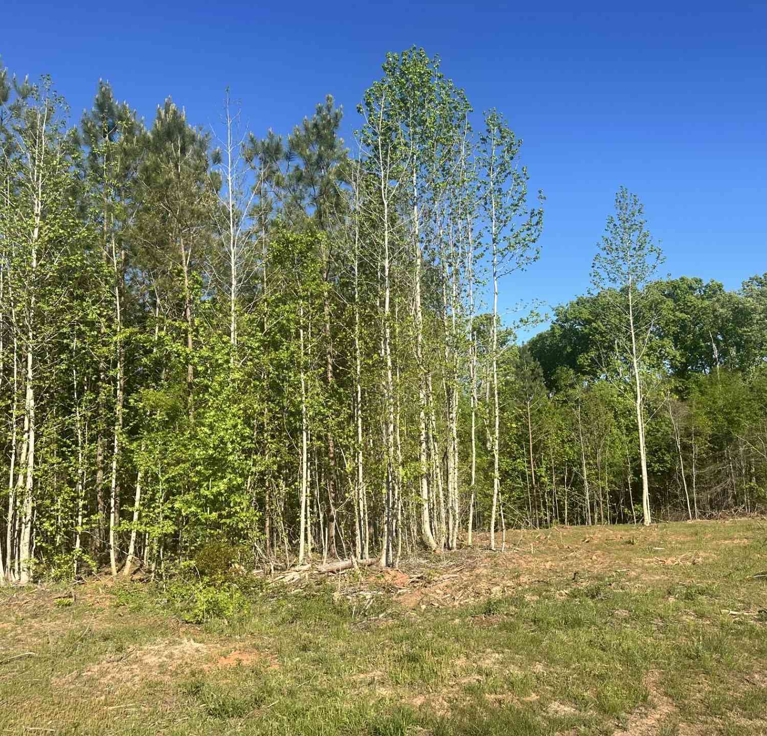 Vacant Land For Sale - 2145 Livingston Road<br/> Pomaria, SC 29126