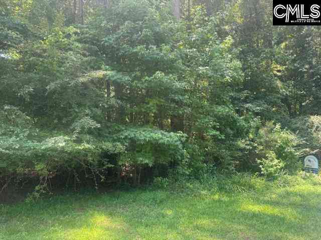 Vacant Land For Sale - South Circle Drive<br/> Orangeburg, SC 29118