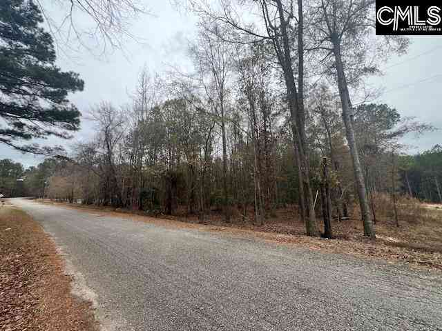 Vacant Land For Sale - 1128 Tookie Doo Avenue<br/> Elgin, SC 29045