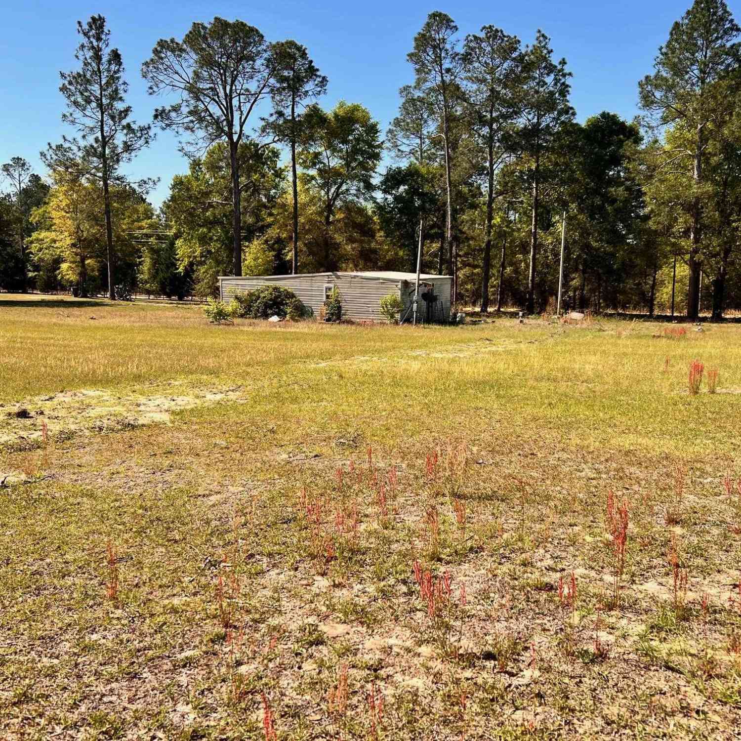 Vacant Land For Sale - Shadow Lane<br/> Wagener, SC 29164