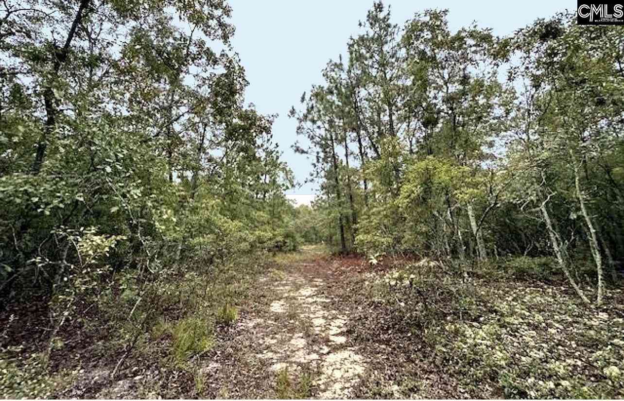 Vacant Land For Sale - Fallaw Road<br/> Gaston, SC 29053