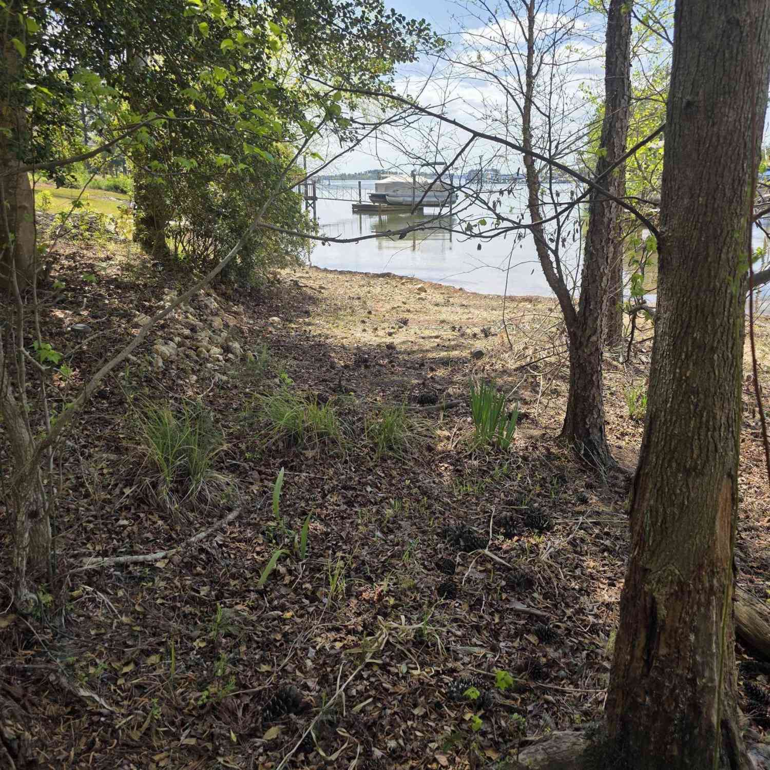 Vacant Land For Sale - 118 Club Court<br/> Chapin, SC 29036