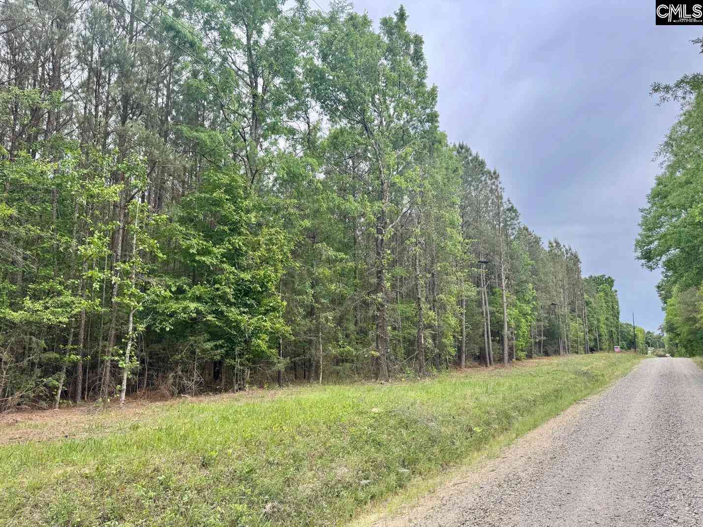 Vacant Land For Sale - Sumpter Road<br/> Johnston, SC 29832