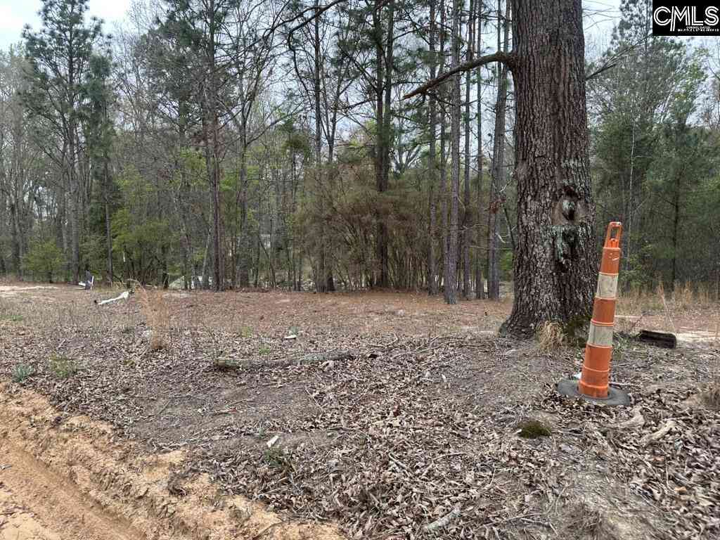 Vacant Land For Sale - 344 Terry Road<br/> Pelion, SC 29123