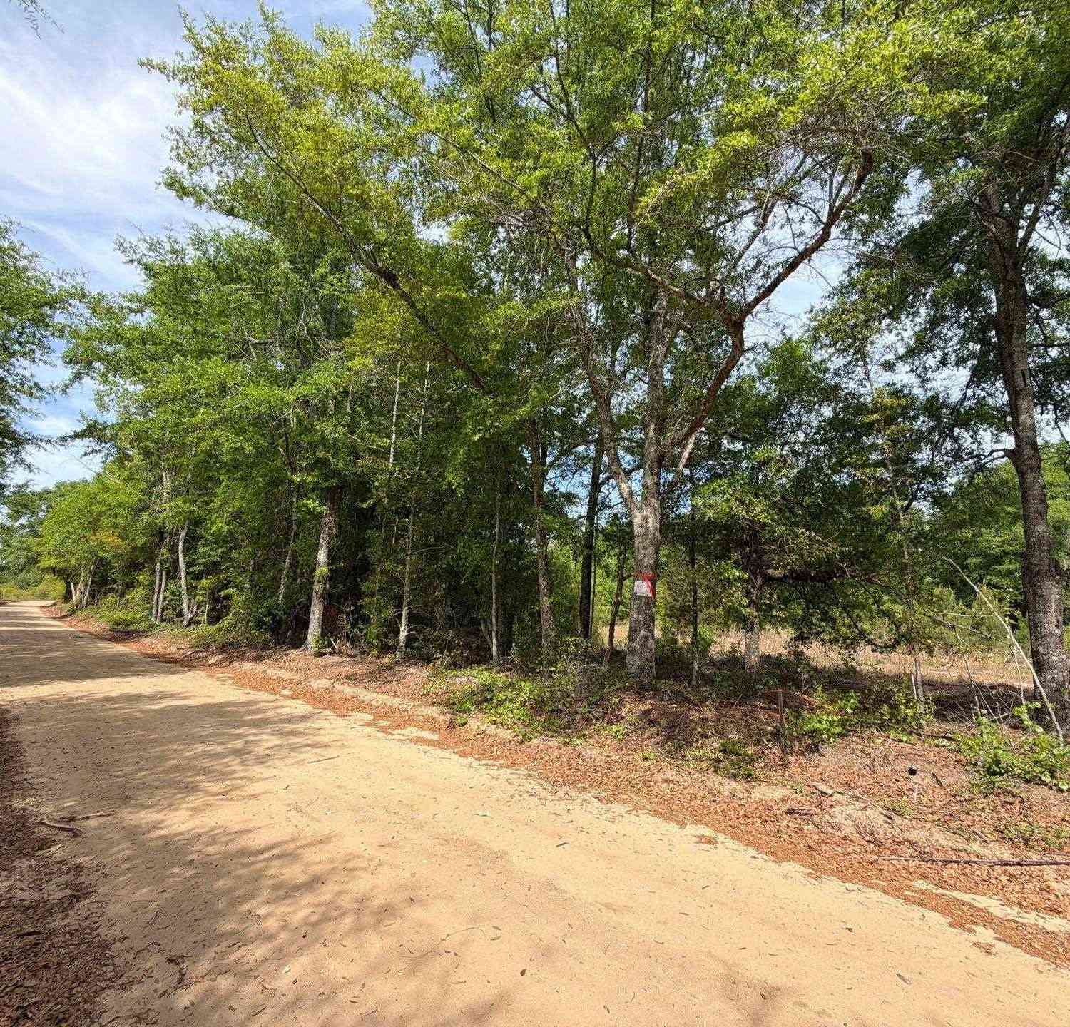 Vacant Land For Sale - RRF 2 Rogers Cemetery Road<br/> Salley, SC 29137