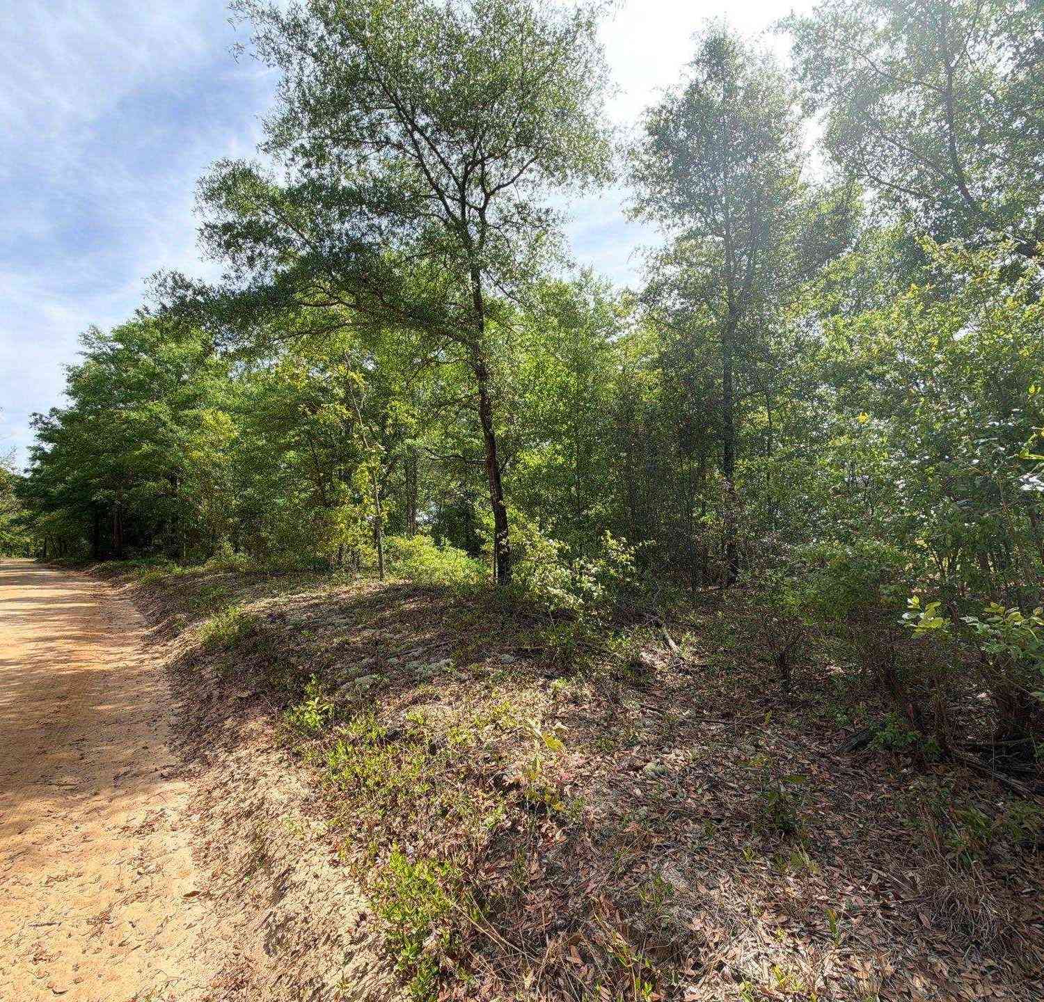 Vacant Land For Sale - RRF 7 Rogers Cemetery Road<br/> Salley, SC 29137