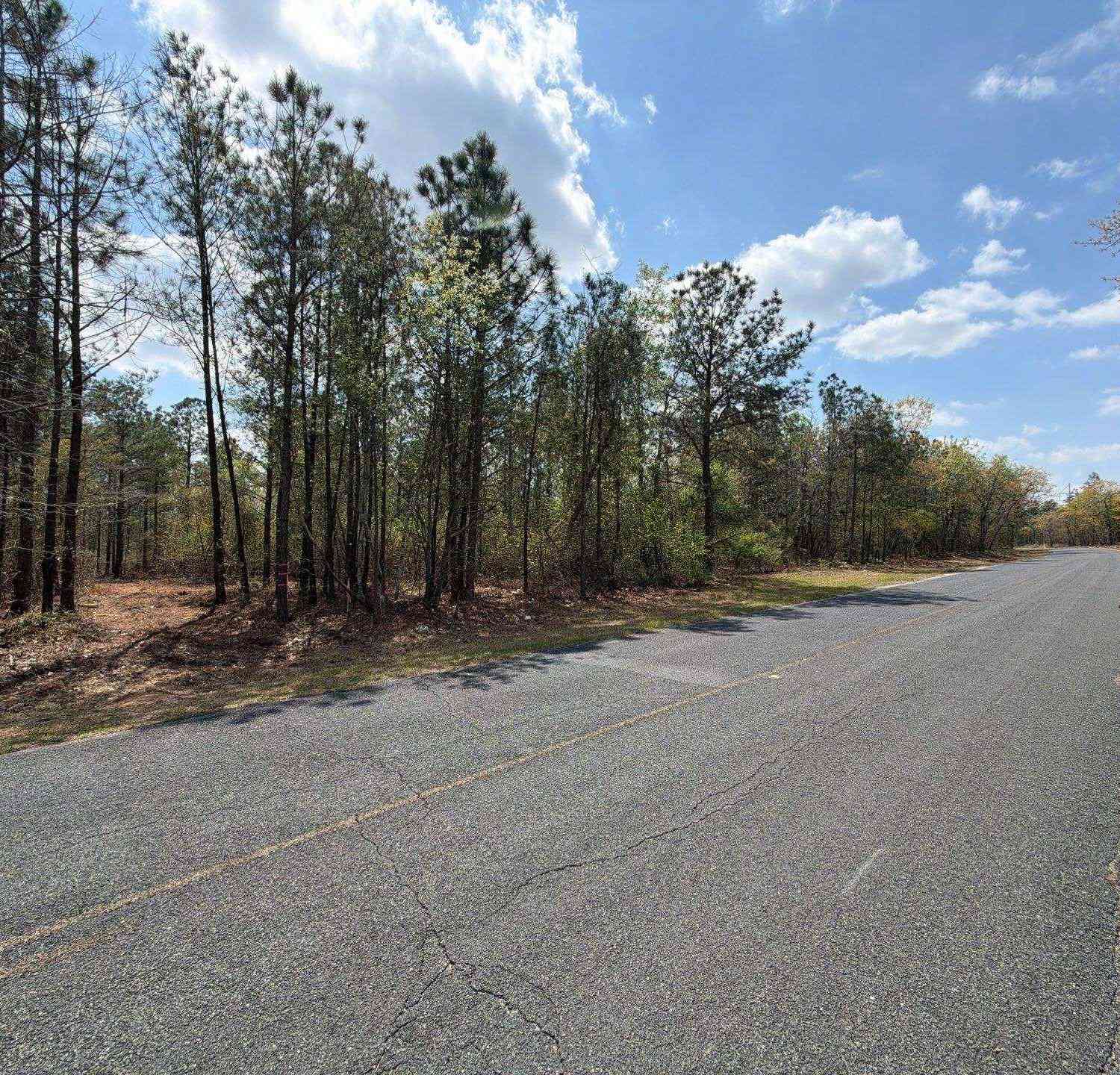 Vacant Land For Sale - CA 3 Mt. Calvary Road<br/> Ridge Spring, SC 29129