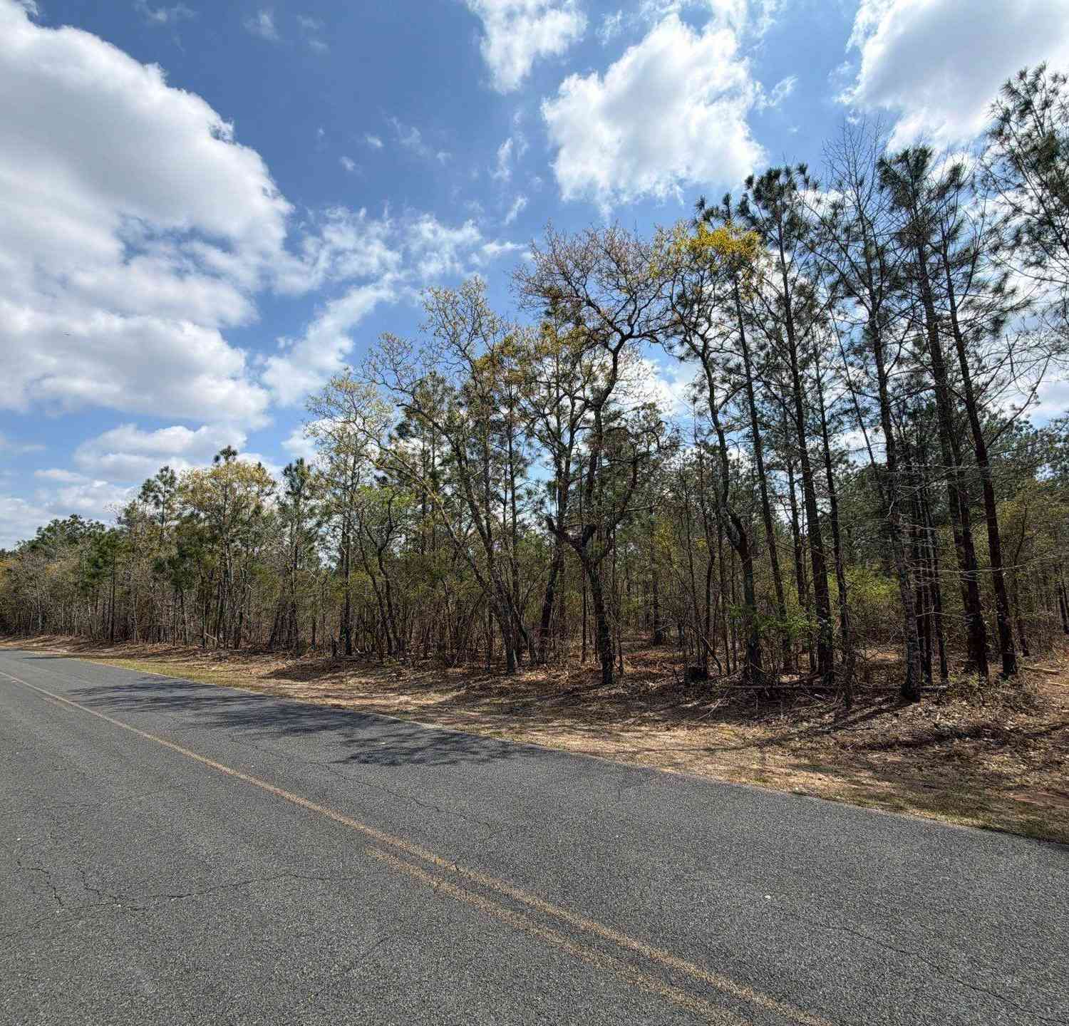 Vacant Land For Sale - CA 5 Mt. Calvary Road<br/> Ridge Spring, SC 29129