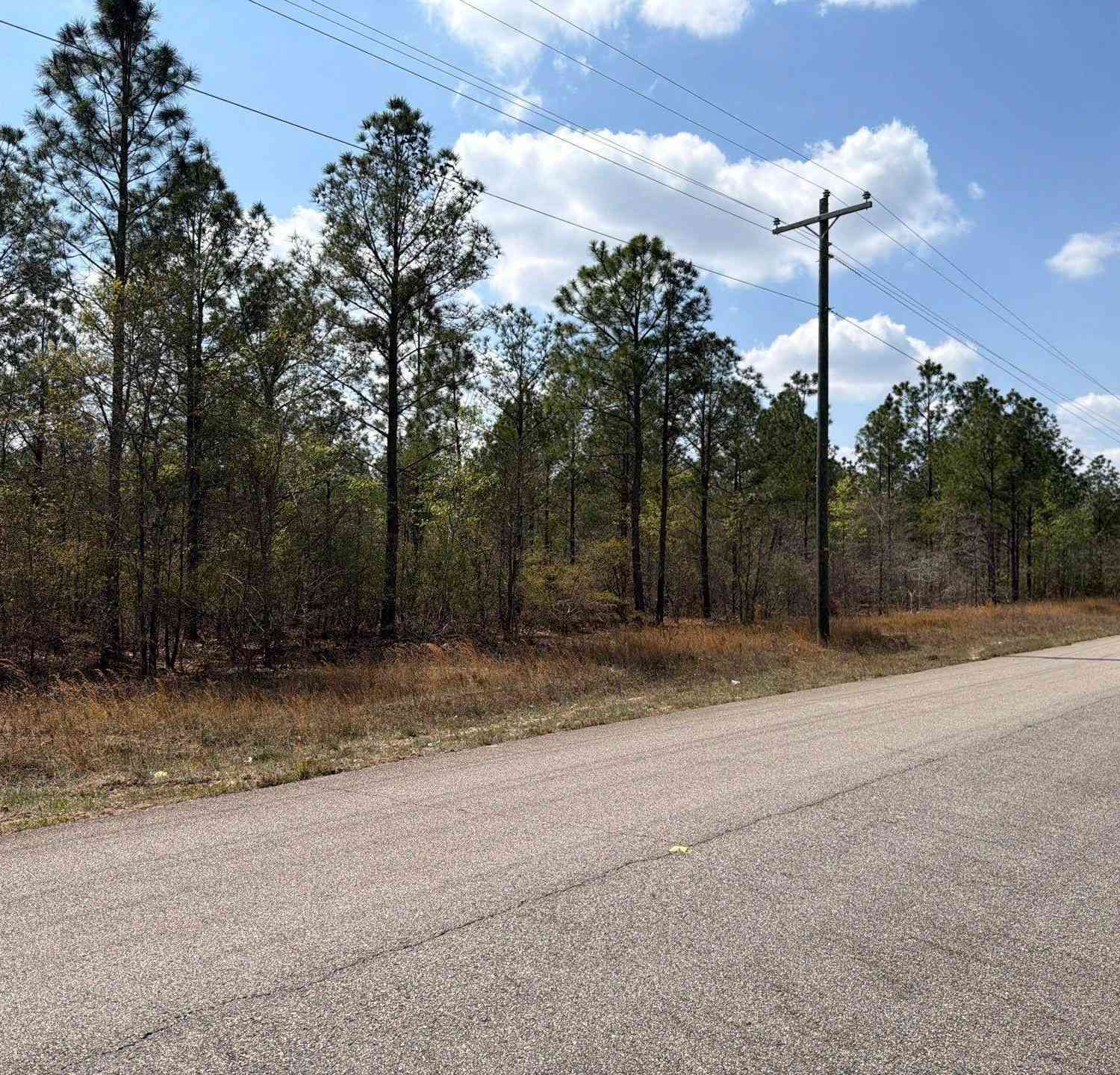Vacant Land For Sale - CA 7 Mt. Calvary Road<br/> Ridge Spring, SC 29129