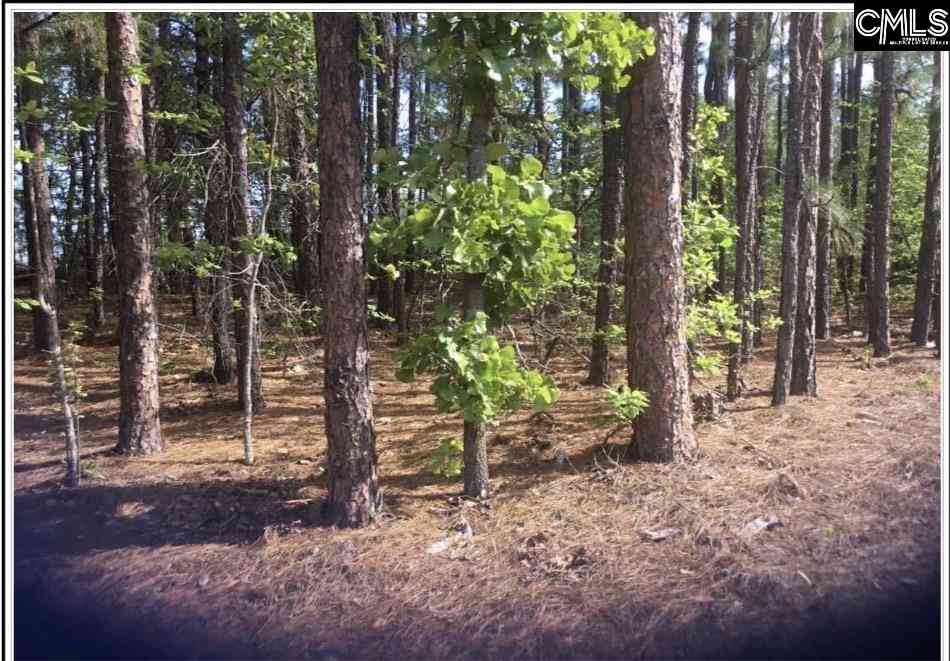 Homes For Sale - N/S Percival Road NE<br/> Columbia, SC 29229