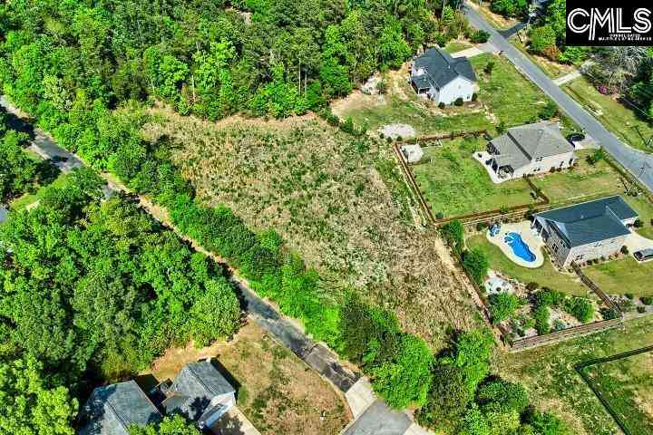 Vacant Land For Sale - 109 Carrituck Court<br/> Chapin, SC 29036