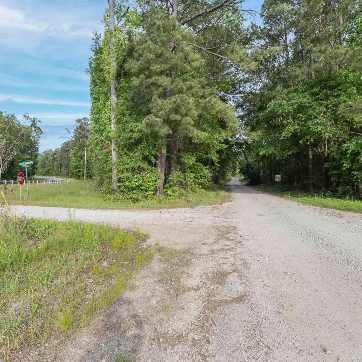 Vacant Land For Sale - TBD St. Peters Church Road<br/> Chapin, SC 29036