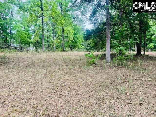 Homes For Sale - 1172 Lake Drive<br/> Saluda County, Leesville, SC 29070