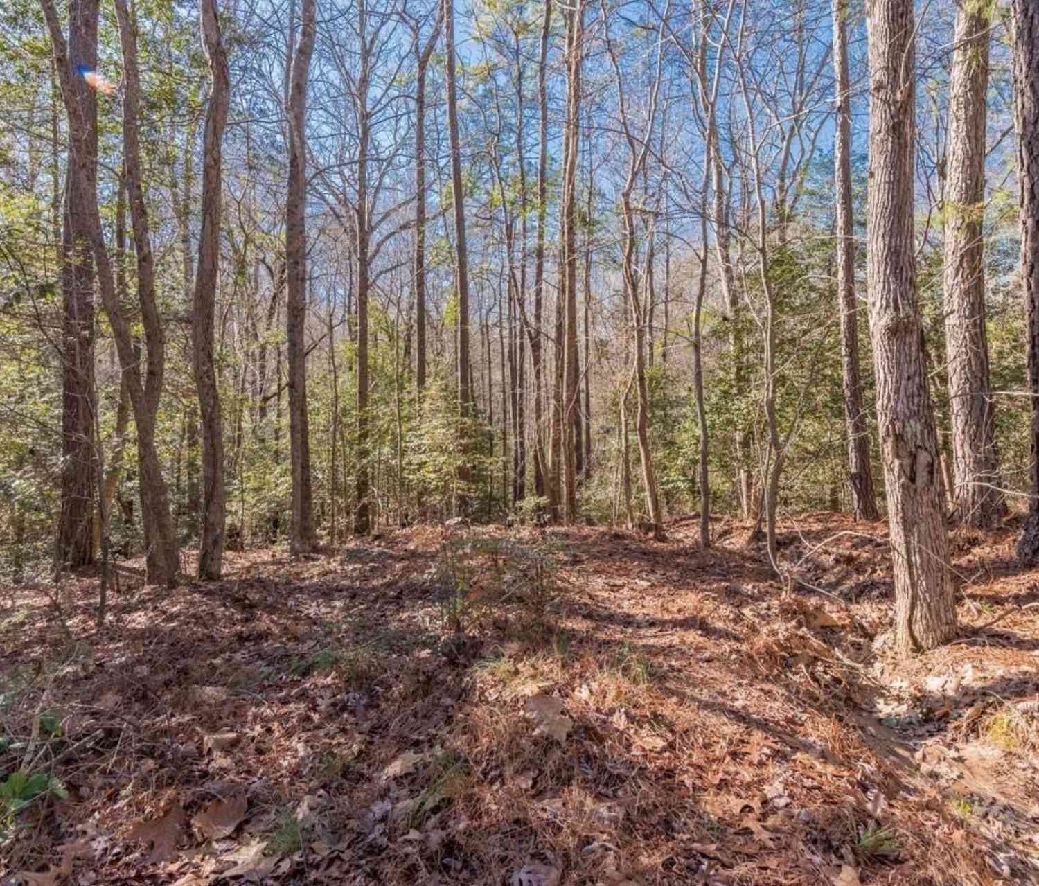 Vacant Land For Sale - Morgan Drive<br/> Lexington, SC 29072