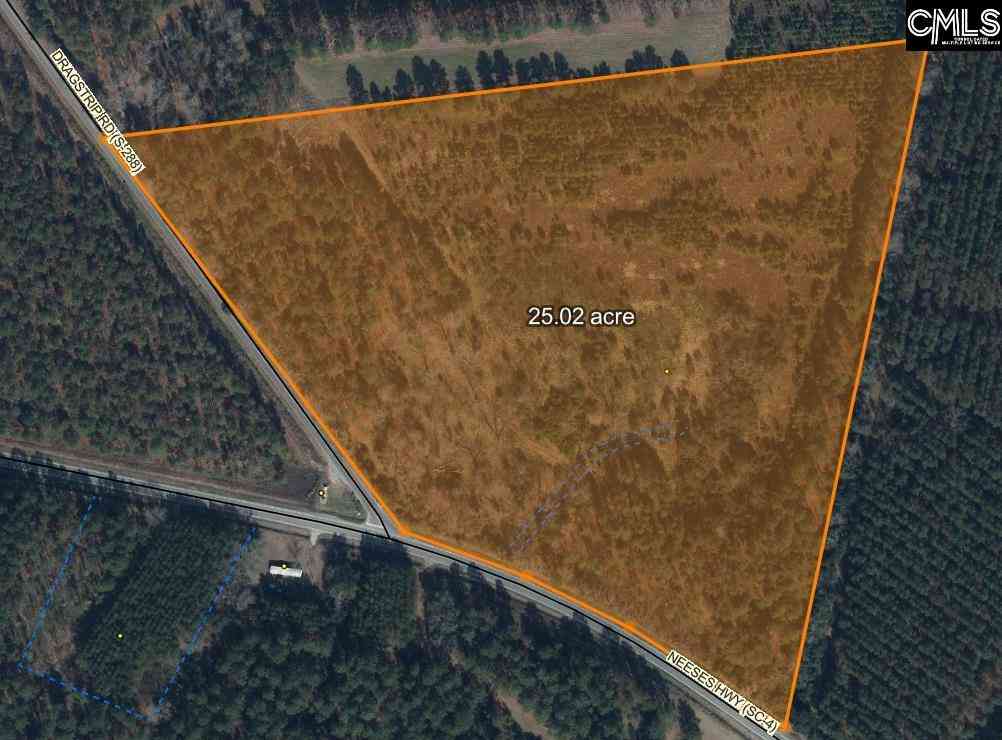 Vacant Land For Sale - Dragstrip Road #C<br/> Orangeburg, SC 29115