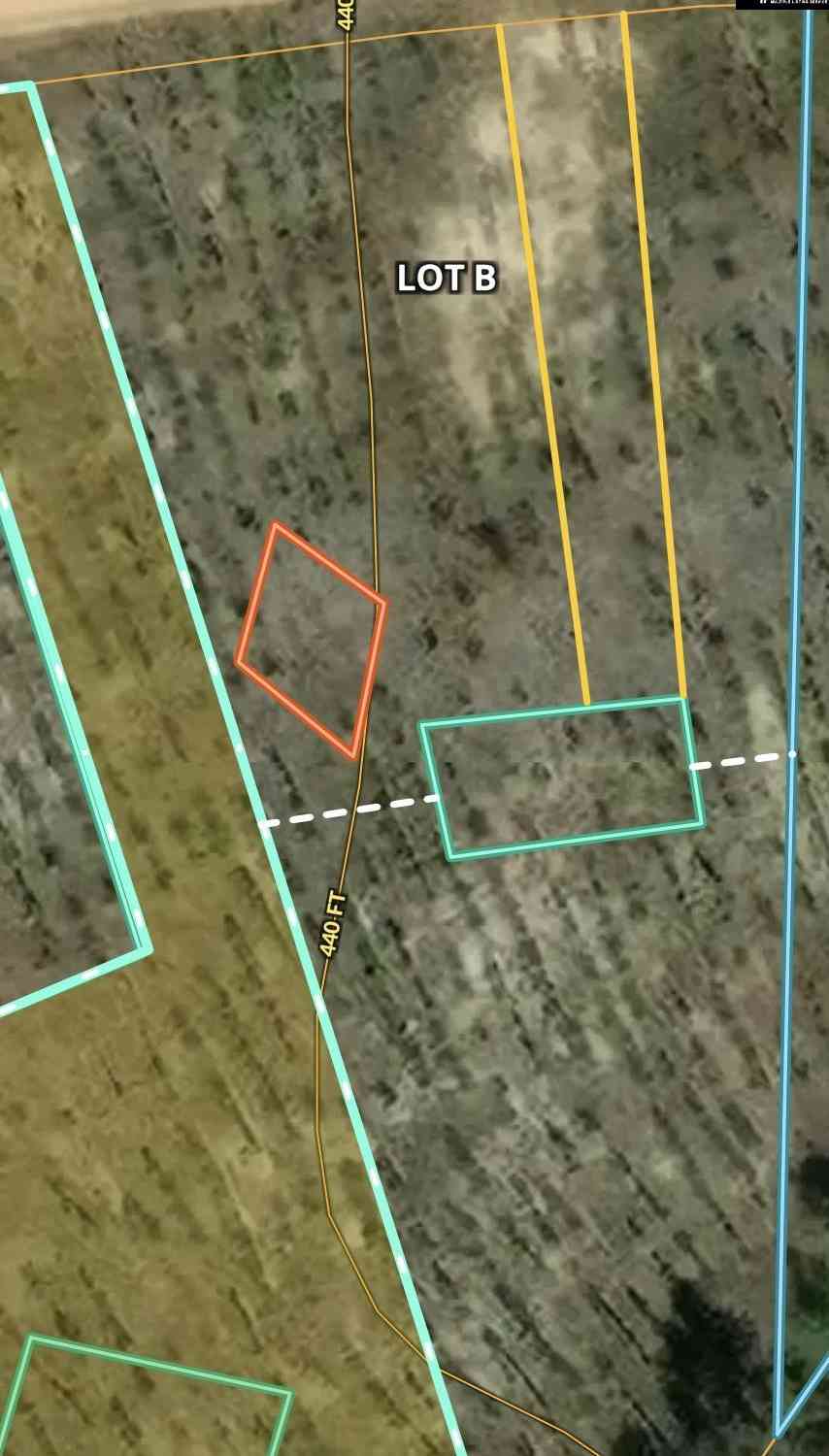 Vacant Land For Sale - 0A Big Branch Rd<br/> Wagener, SC 29164