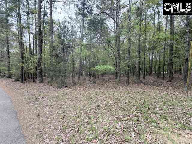 Vacant Land For Sale - Kennerly Road<br/> Irmo, SC 29063