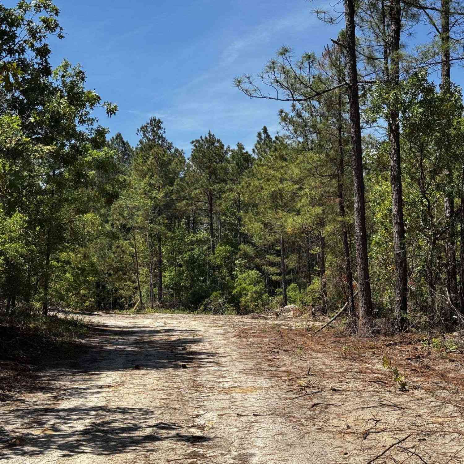 Vacant Land For Sale - Sawyer Road<br/> Monetta, SC 29105