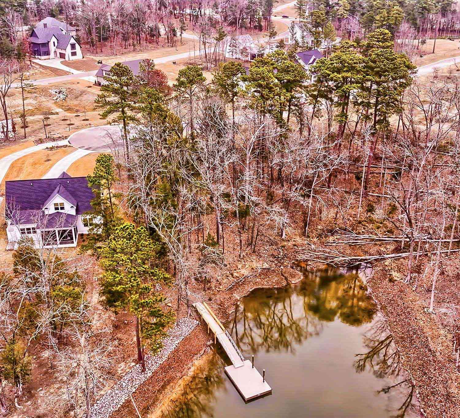 Homes For Sale - 925 Salisbury Court<br/> Chapin, SC 29036