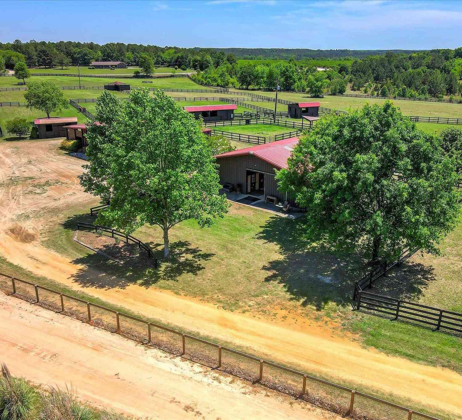 Vacant Land For Sale - 929 Airport Road<br/> Johnston, SC 29832