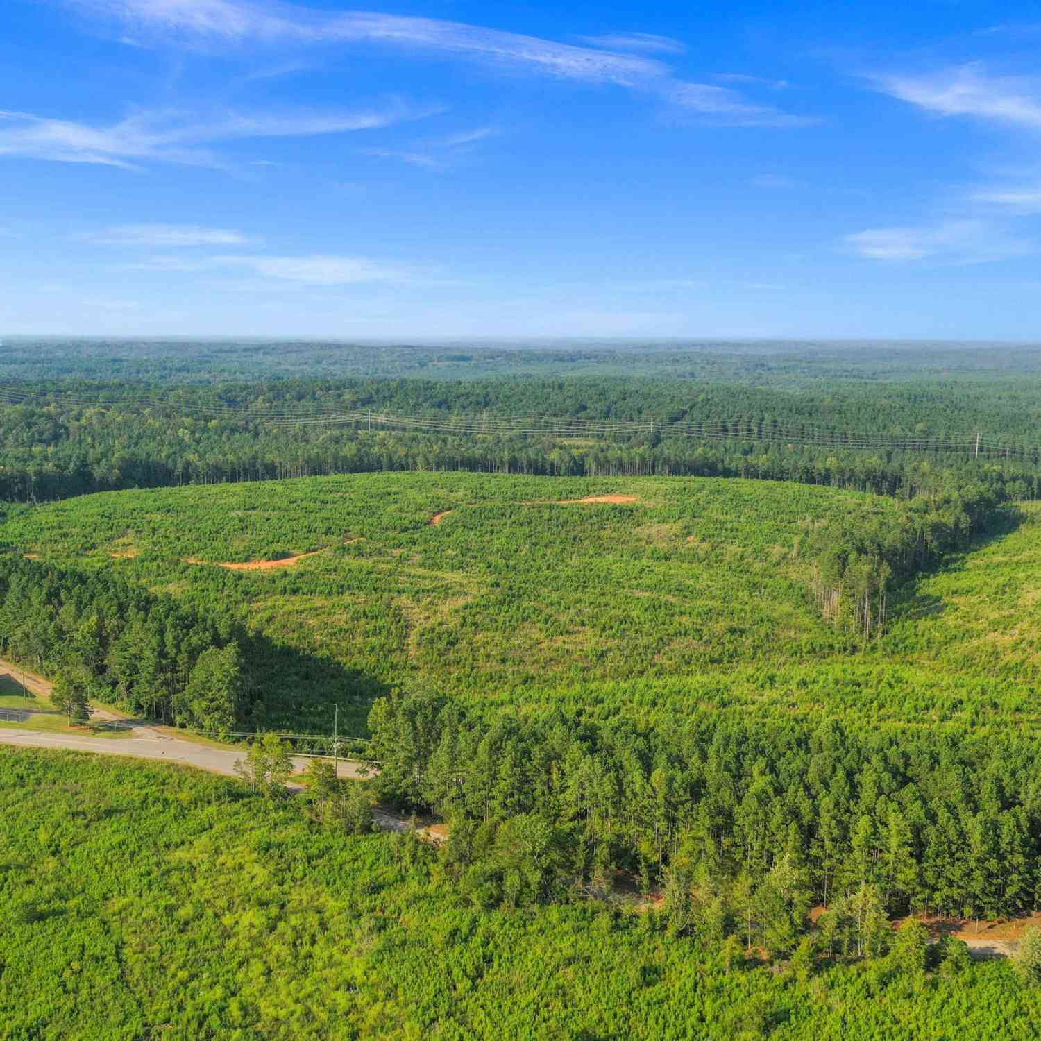 Vacant Land For Sale - 0000 Hwy 215 #3<br/> Jenkinsville, SC 29065