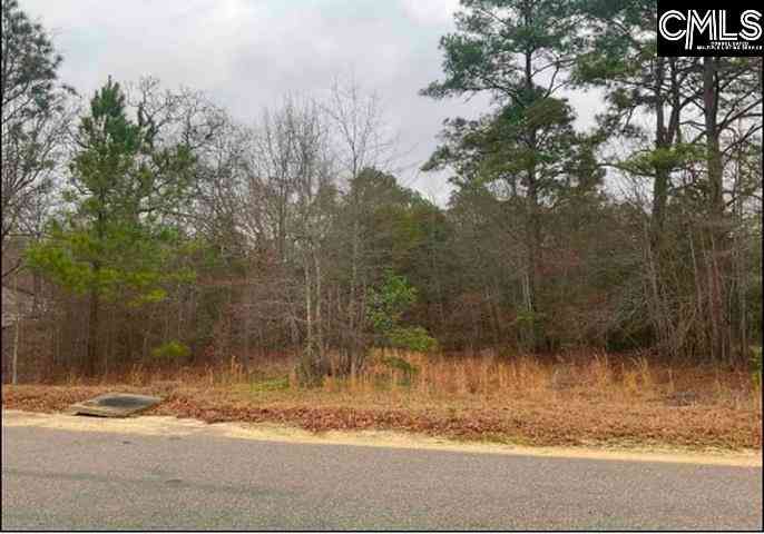 Vacant Land For Sale - 669 Clay Hills Road<br/> Pelion, SC 29123