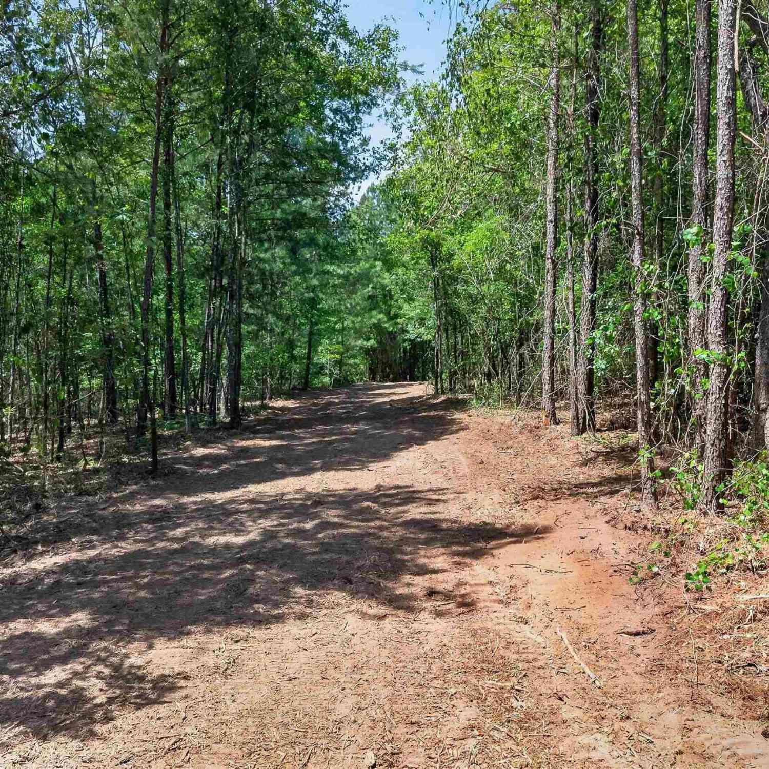 Vacant Land For Sale - 1176A Old Stagecoach Road<br/> Camden, SC 29020