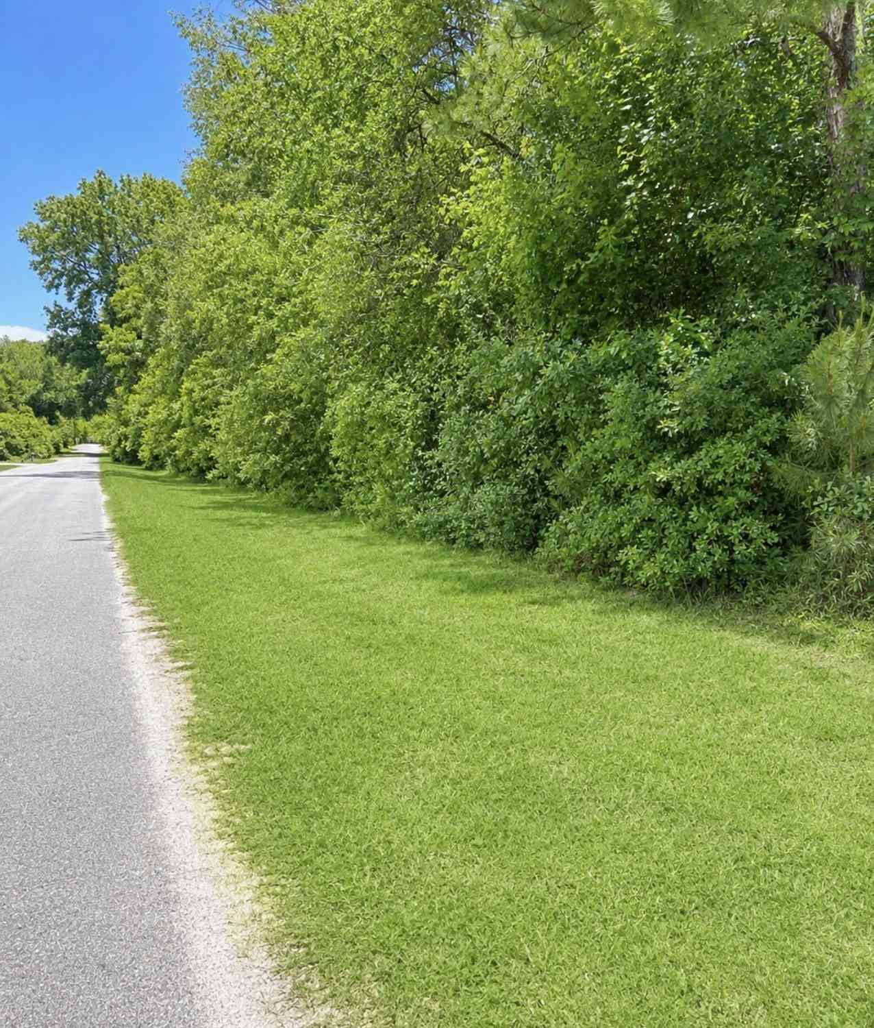 Vacant Land For Sale - 1288 Maple Avenue<br/> Denmark, SC 29042