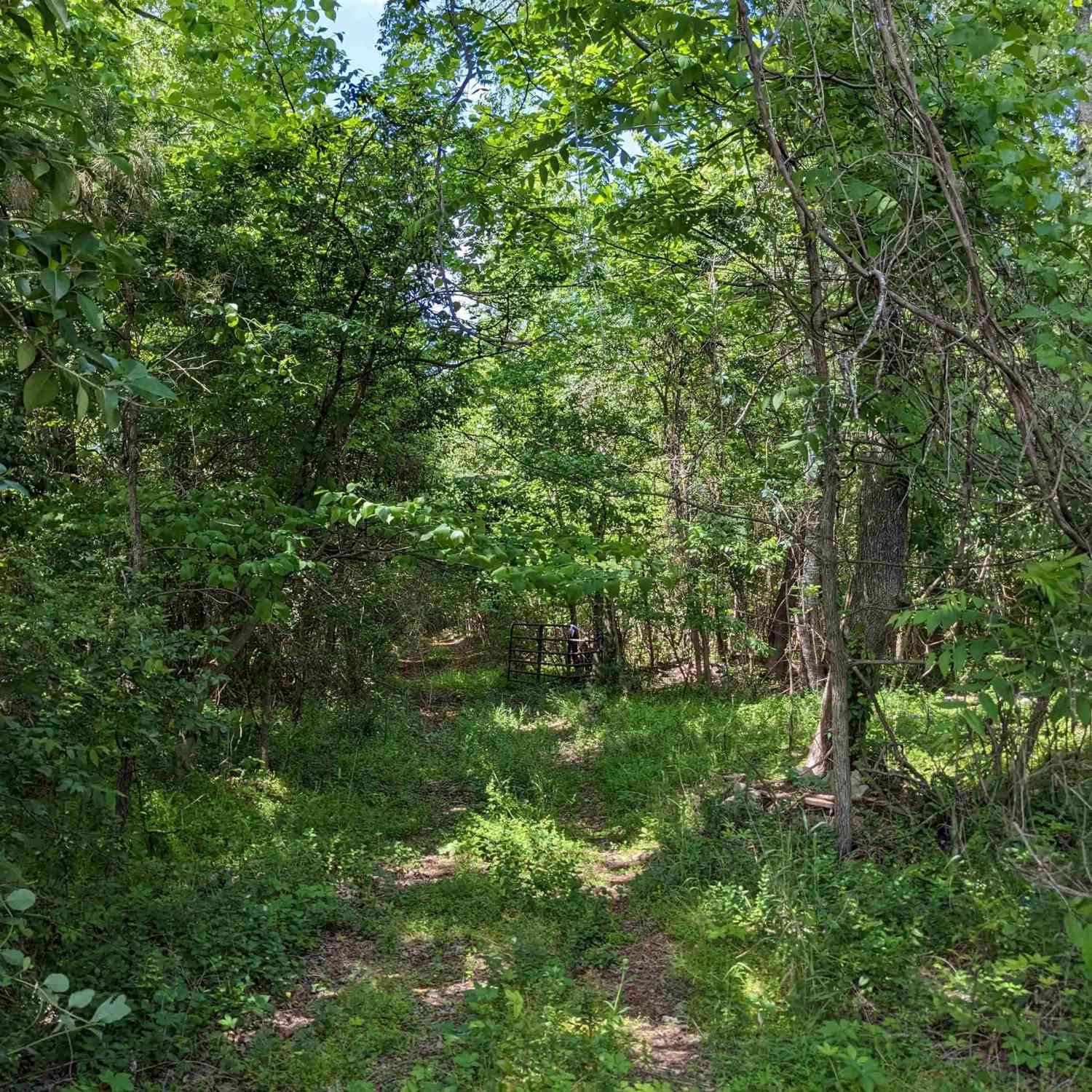 Vacant Land For Sale - Jewel Drive<br/> Winnsboro, SC 29180