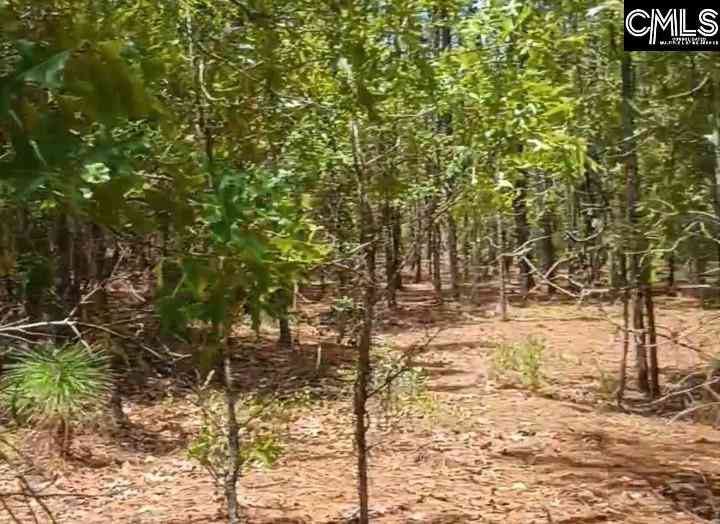 Vacant Land For Sale - 178 Homestead Lane<br/> Society Hill, SC 29520