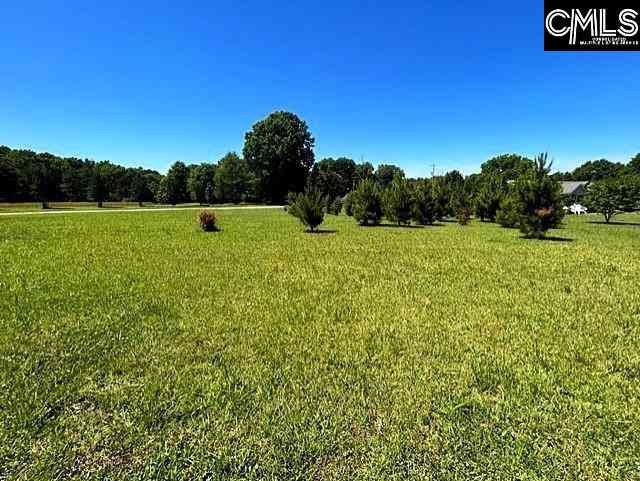 Vacant Land For Sale - TBD Shady Acres Drive<br/> Chapin, SC 29036