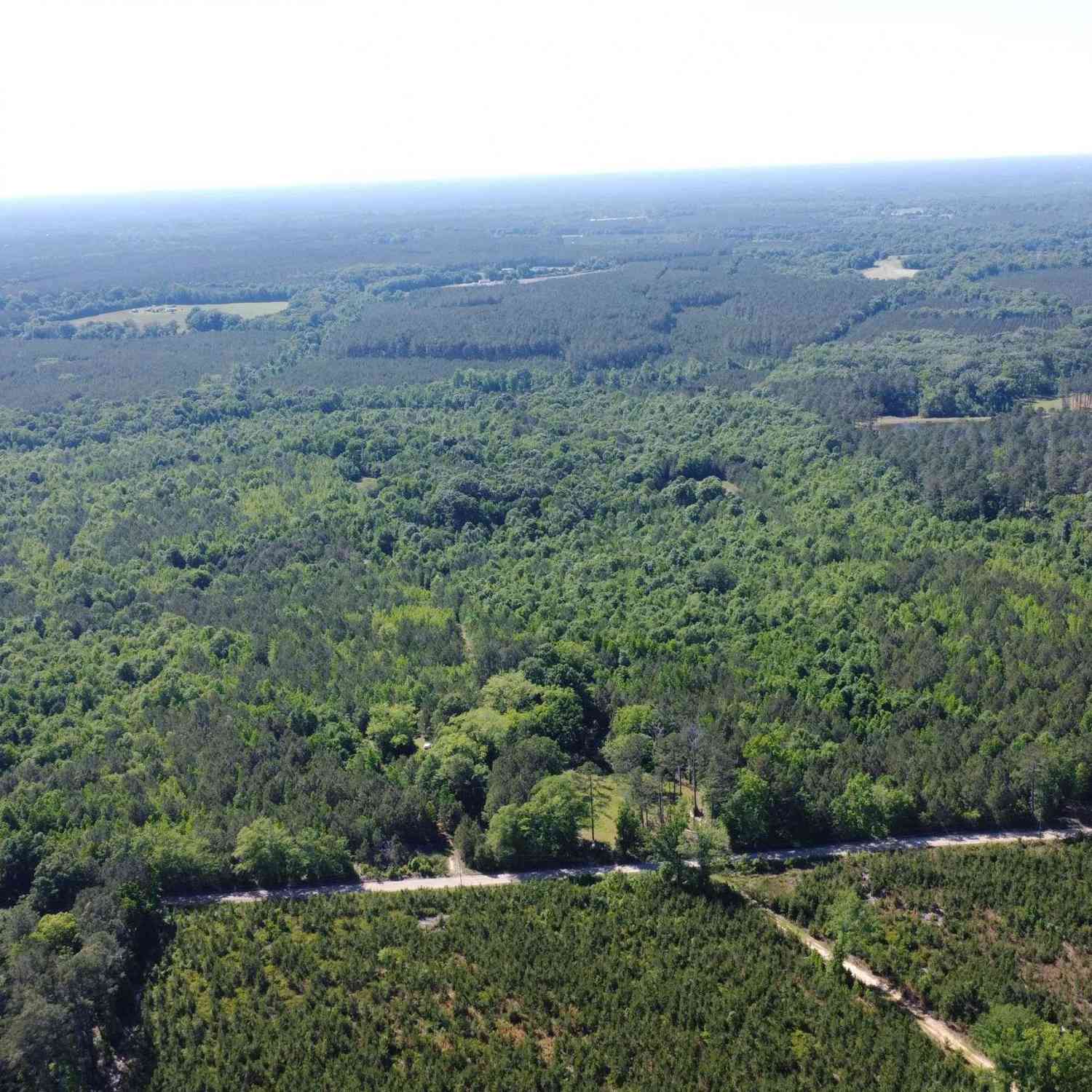 Vacant Land For Sale - Oakdale Drive<br/> Johnston, SC 29832