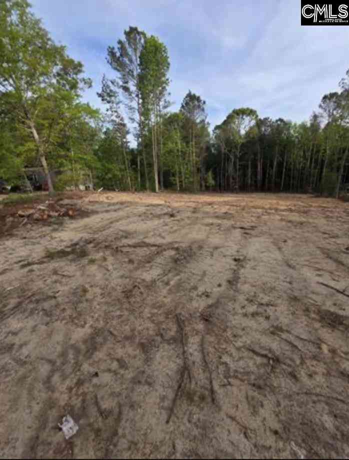 Vacant Land For Sale - Timber Lane<br/> Orangeburg, SC 29118