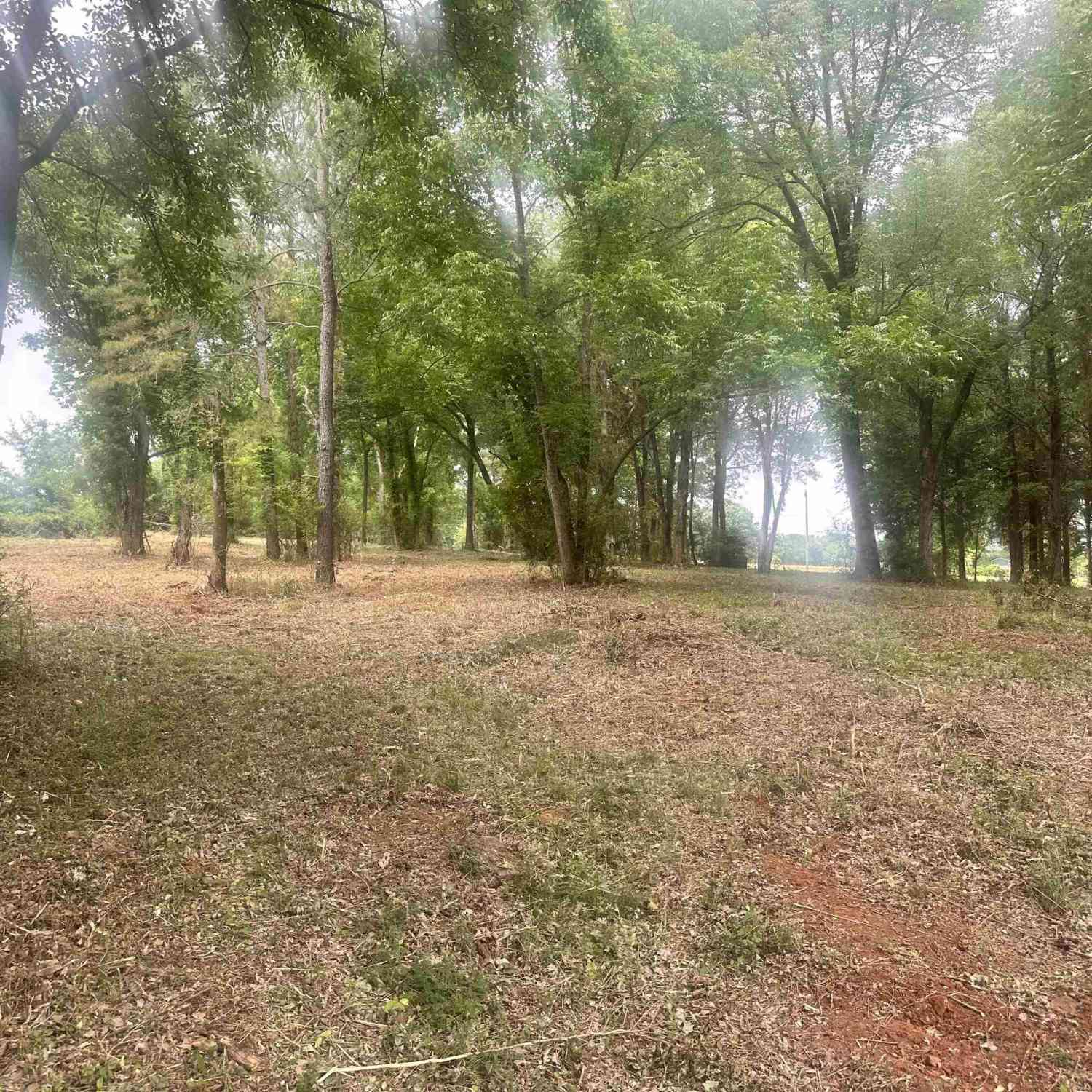 Vacant Land For Sale - Hwy 202 Highway<br/> Newberry County, Little Mountain, SC 29075