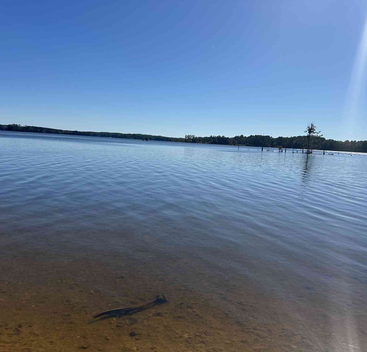Vacant Land For Sale - 000 Circle H. Wood Road<br/> Prosperity, SC 29127