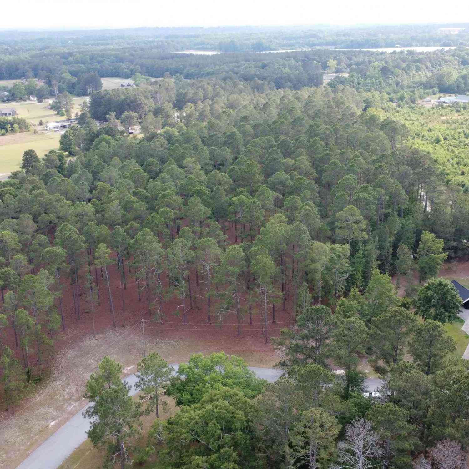 Vacant Land For Sale - Little Creek Drive<br/> Leesville, SC 29070