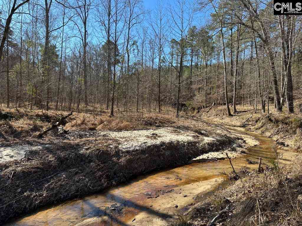 Vacant Land For Sale - River Road<br/> Winnsboro, SC 29180