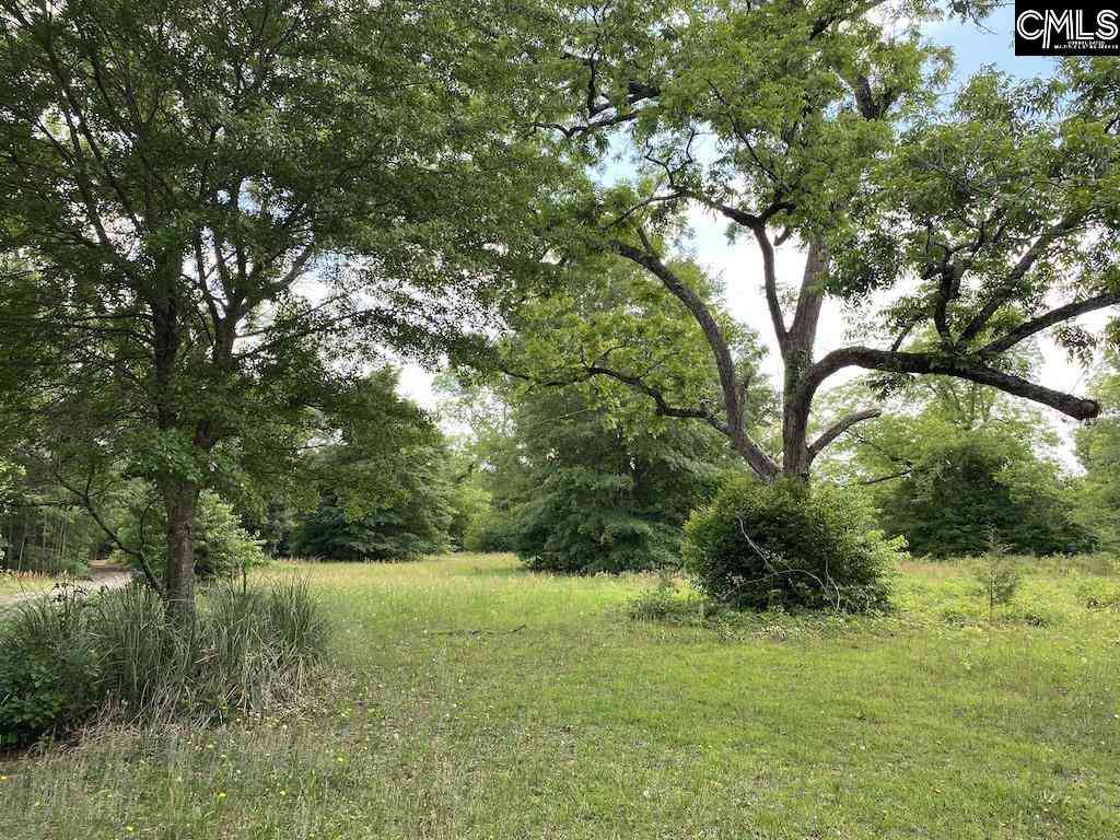 Vacant Land For Sale - 967 Clay Hill Road<br/> Pelion, SC 29123