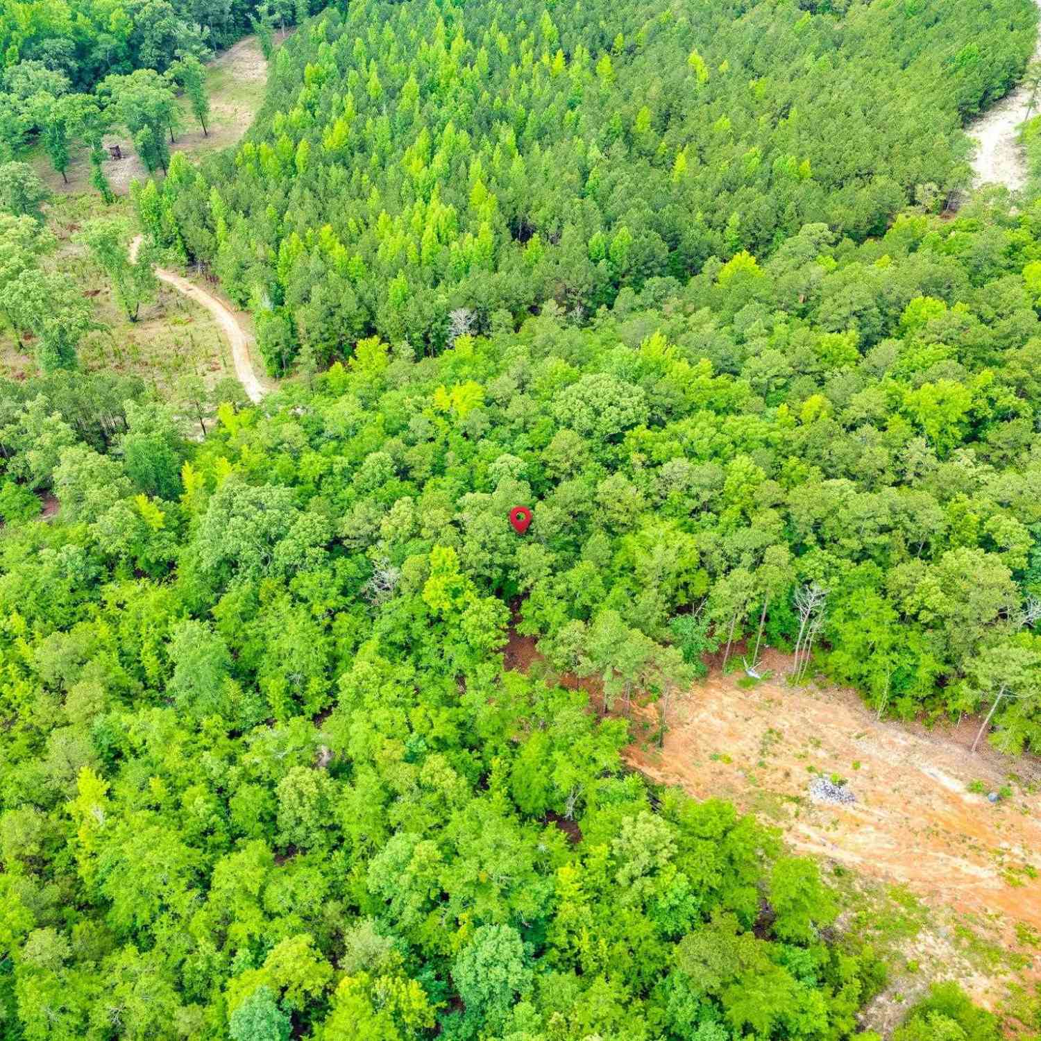 Vacant Land For Sale - 612 Toms Creek Road<br/> Richland County, Hopkins, SC 29061