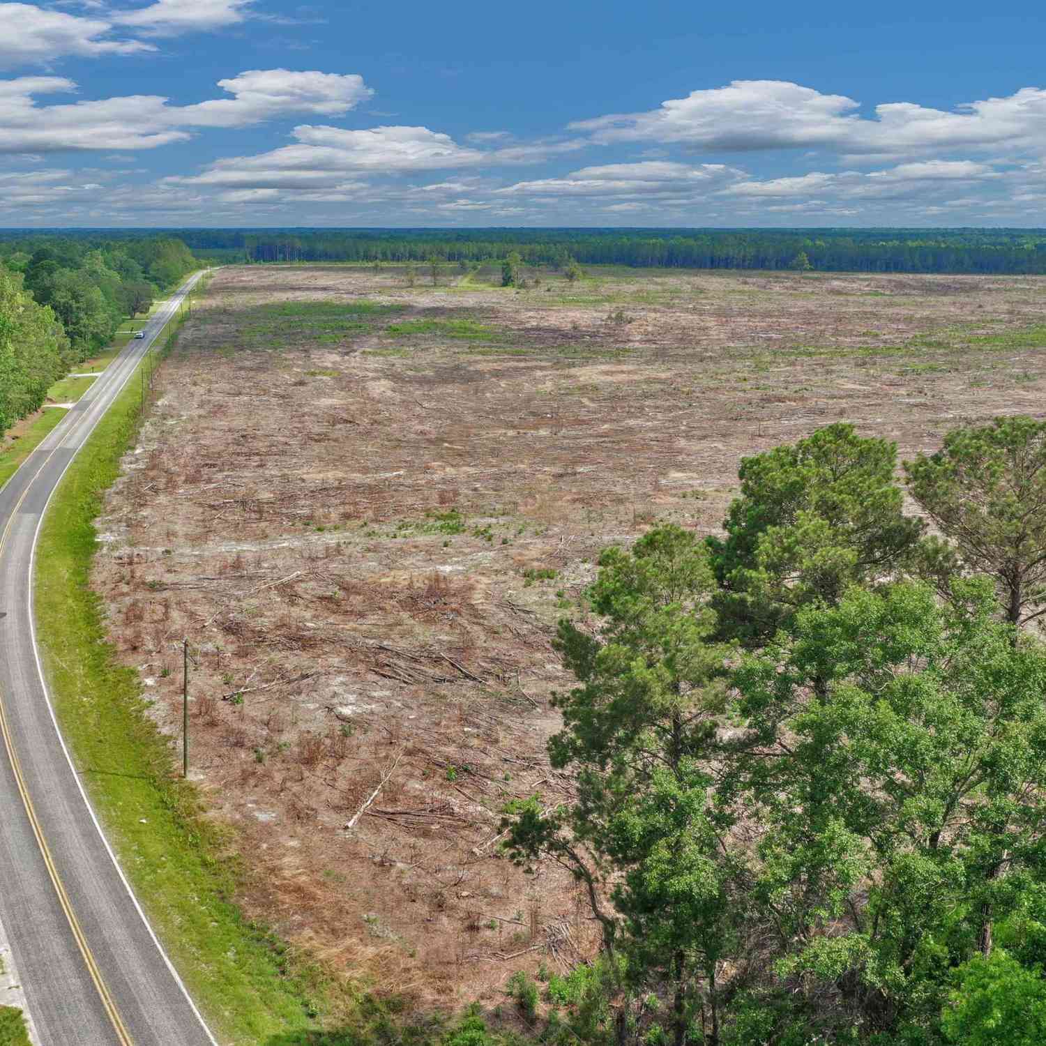 Vacant Land For Sale - 0000 N Brewington Road #2<br/> Manning, SC 29102
