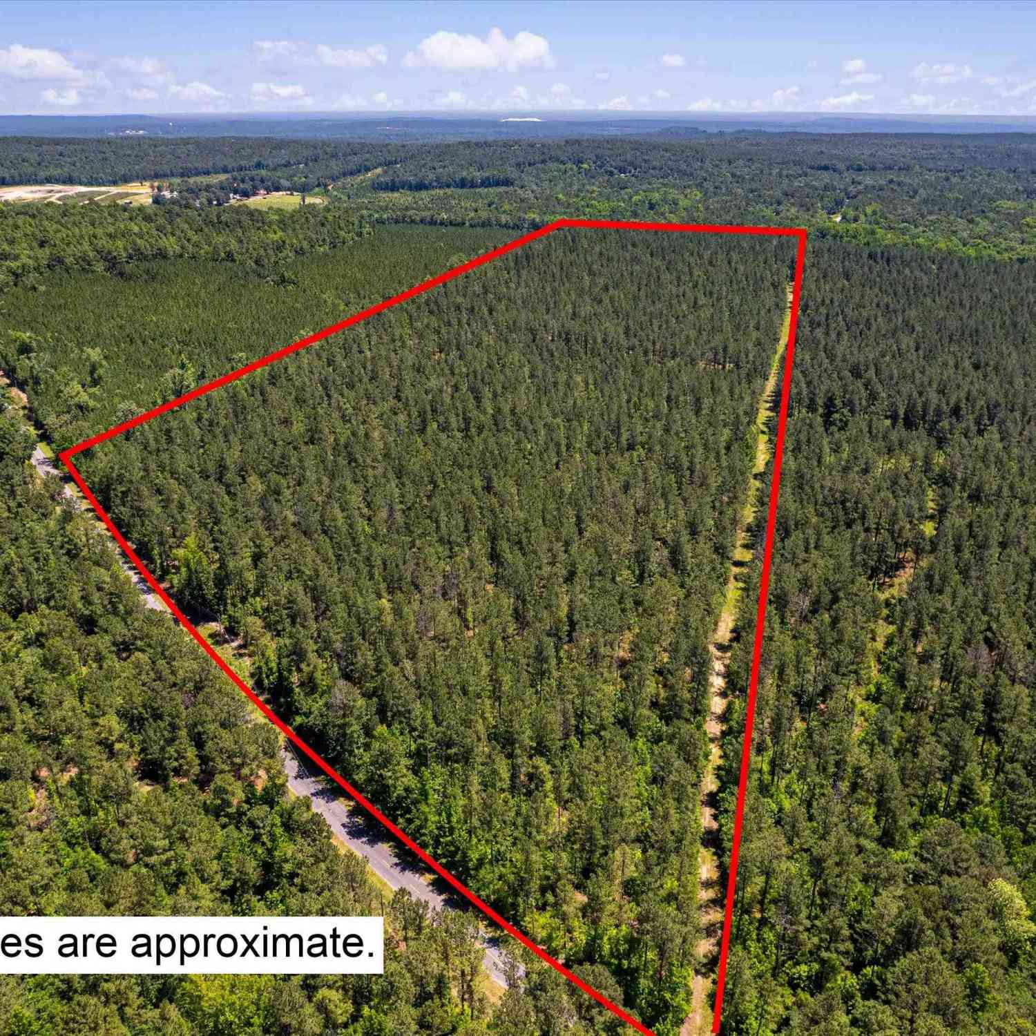 Vacant Land For Sale - TBD Toms Creek Road<br/> Hopkins, SC 28061