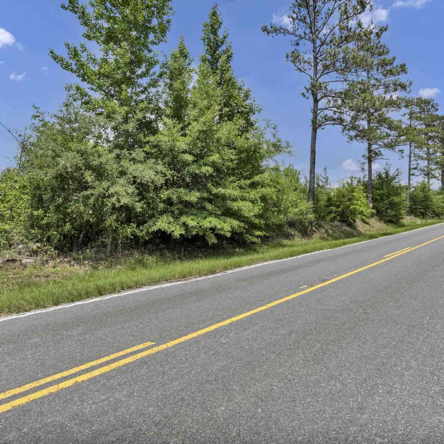 Vacant Land For Sale - NA Bull Swamp<br/> North, SC 29112