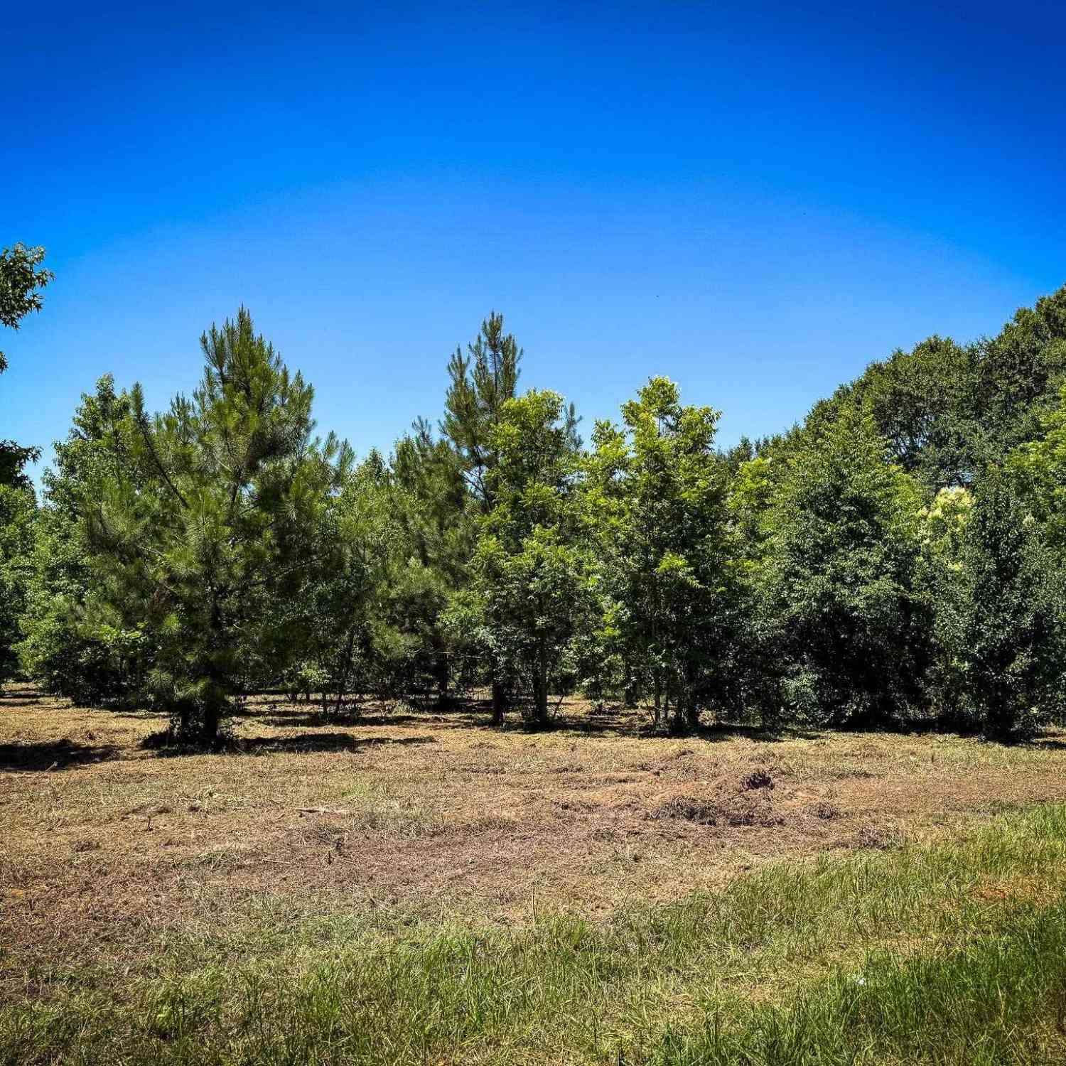 Vacant Land For Sale - S Bethlehem Road #LOT 1<br/> Batesburg, SC 29006