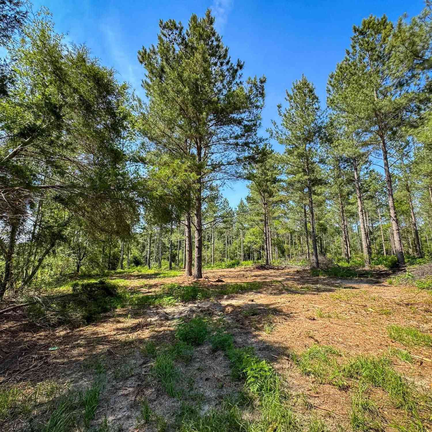 Vacant Land For Sale - Lewis Waters Road #LOT 2<br/> Leesville, SC 29070
