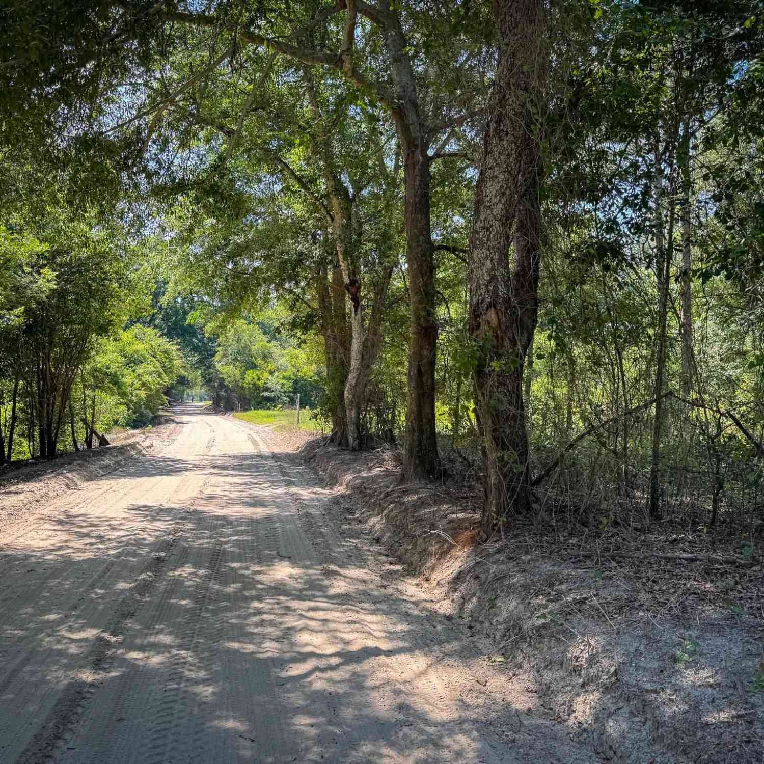Vacant Land For Sale - Lewis Waters Road #LOT 3<br/> Leesville, SC 29070